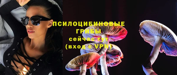 прущий лед Алзамай
