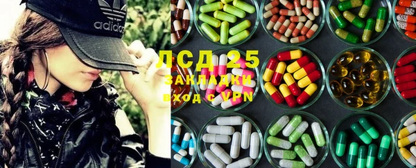 прущий лед Алзамай