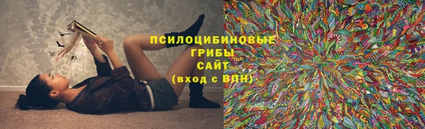 прущий лед Алзамай