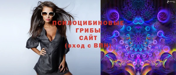 прущий лед Алзамай