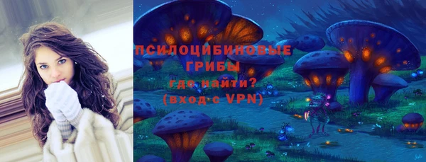дживик Алексеевка