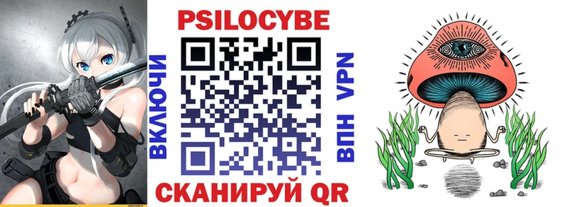 где продают   Амурск  Галлюциногенные грибы Psilocybine cubensis 
